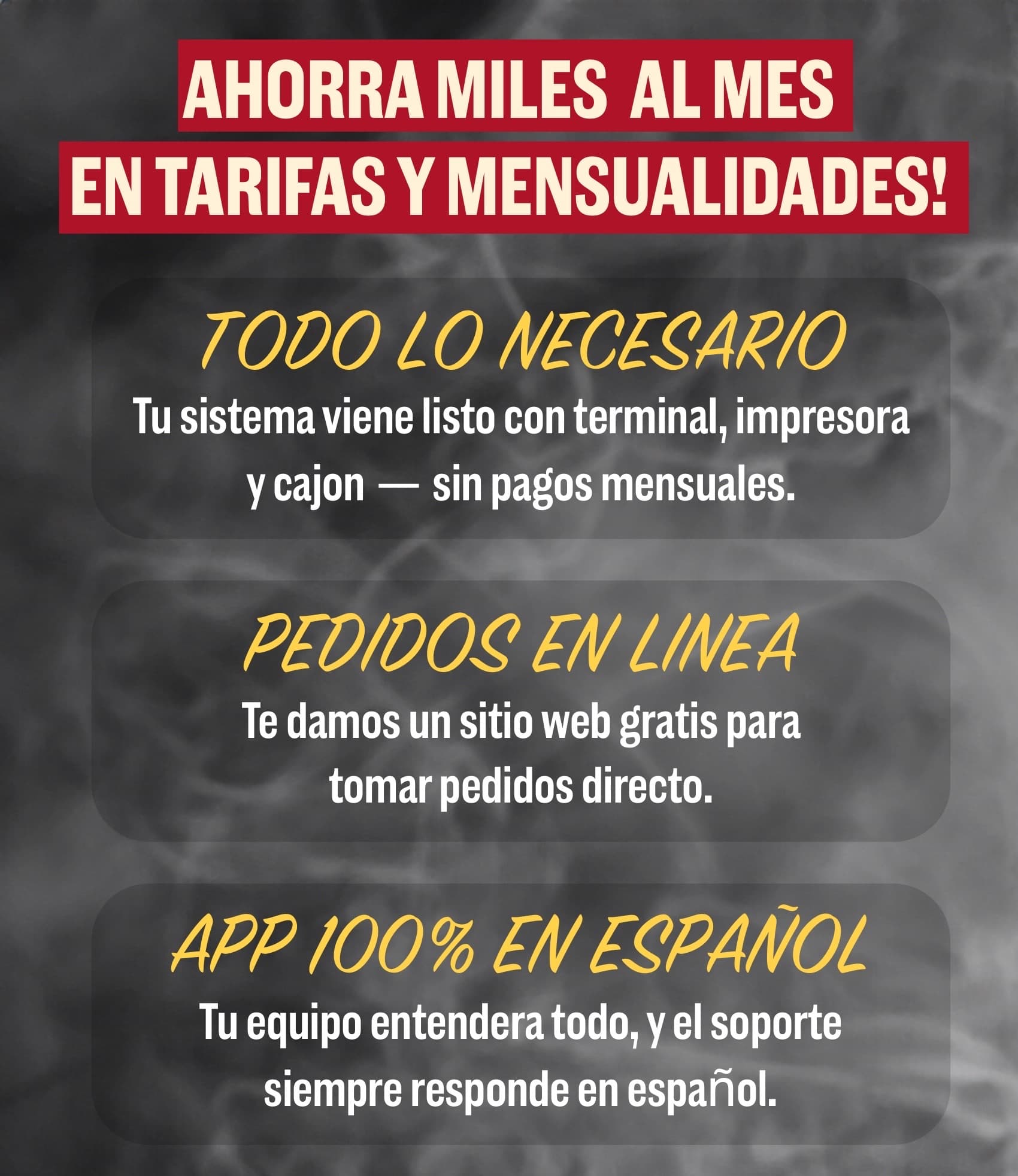Birria.com benefits explaining no monthly payments, online orders, and Spanish support.